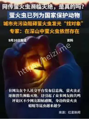 萤火虫灭绝谣言