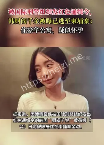 韩国财阀千金逃亡